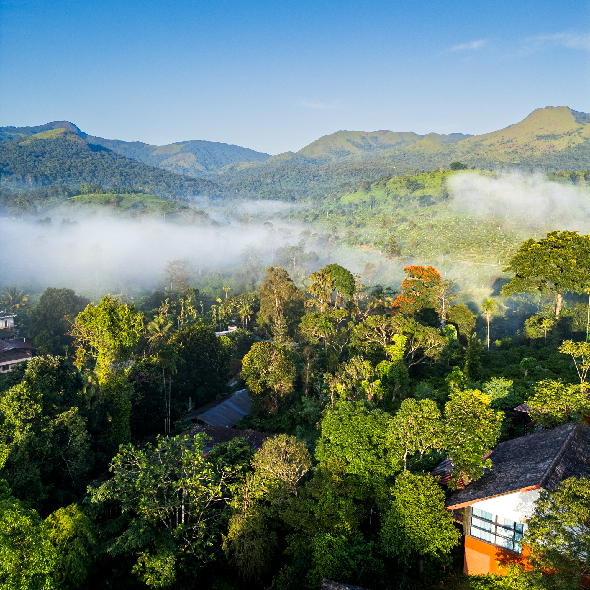 Beautiful Pranavam Views
